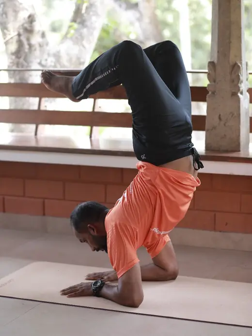 A supported forearm balance practised against the studio frame.